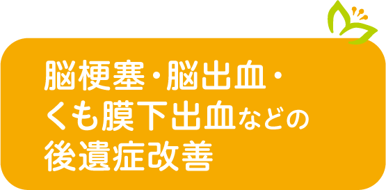脳梗塞・脳出血・くも膜下出血などの後遺症改善